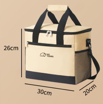Beige Insulated Picnic Cooler Bag: Portable Waterproof Ice Bag for Outdoor Camping, Picnics & Home Use(17L)
